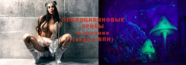 сатива Богородск