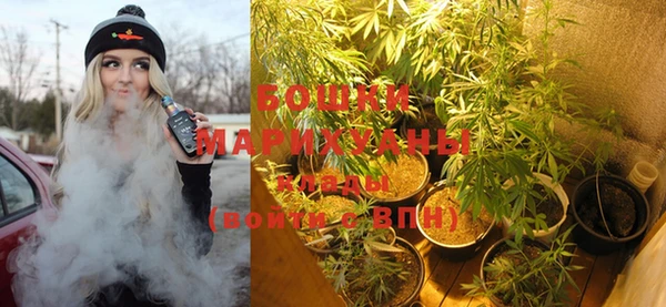 сатива Богородск