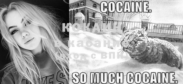 COCAINE Богданович